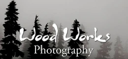 Wood Works Photography